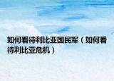如何看待利比亞國(guó)民軍（如何看待利比亞危機(jī)）