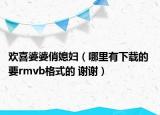 歡喜婆婆俏媳婦（哪里有下載的 要rmvb格式的 謝謝）