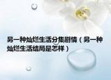 另一種燦爛生活分集劇情（另一種燦爛生活結局是怎樣）