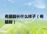 希臘腳長什么樣子（希臘腳）
