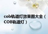 cob軌道燈效果圖大全（COB軌道燈）