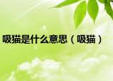 吸貓是什么意思（吸貓）