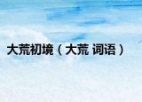 大荒初境（大荒 詞語）
