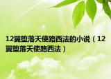 12翼墮落天使路西法的小說(shuō)（12翼墮落天使路西法）