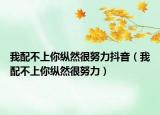 我配不上你縱然很努力抖音（我配不上你縱然很努力）