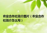 農業(yè)合作社簡介圖片（農業(yè)合作社簡介怎么寫）