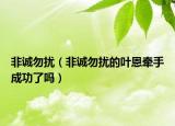 非誠勿擾（非誠勿擾的葉恩牽手成功了嗎）