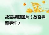 故宮裸眼圖片（故宮裸照事件）
