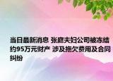 當日最新消息 張庭夫婦公司被凍結(jié)約95萬元財產(chǎn) 涉及拖欠費用及合同糾紛