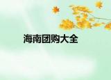 海南團(tuán)購大全