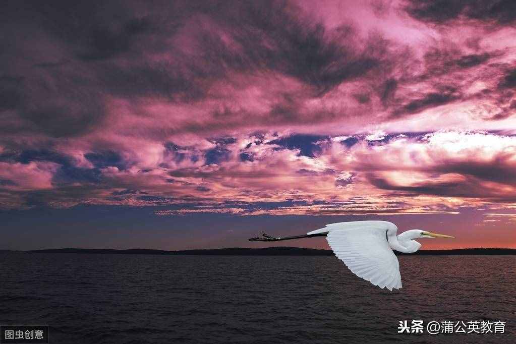 “五大三粗”到底是哪“五大”、哪“三粗”？