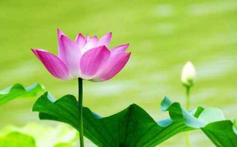 秉性是什么意思？你的秉性化了沒(méi)有？