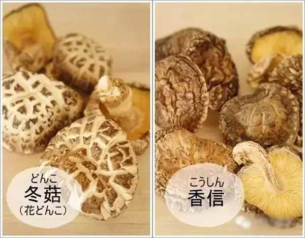 你還是香菇冬菇傻傻分不清，不清楚的都進(jìn)來看看吧！