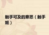 觸手可及的意思（觸手姬）