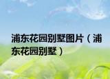 浦東花園別墅圖片（浦東花園別墅）