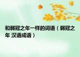和弱冠之年一樣的詞語（弱冠之年 漢語成語）
