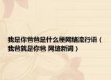 我是你爸爸是什么梗網(wǎng)絡(luò)流行語（我爸就是你爸 網(wǎng)絡(luò)新詞）