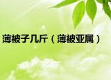 薄被子幾斤（薄被亞屬）