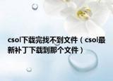 csol下載完找不到文件（csol最新補丁下載到那個文件）