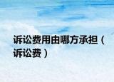 訴訟費(fèi)用由哪方承擔(dān)（訴訟費(fèi)）