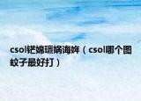 csol铓婂瓙媧誨姩（csol哪個(gè)圖蚊子最好打）