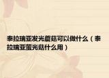 泰拉瑞亞發(fā)光蘑菇可以做什么（泰拉瑞亞螢光菇什么用）