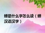 蟬是什么字怎么讀（蟬 漢語漢字）