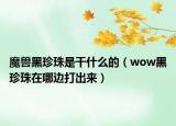 魔獸黑珍珠是干什么的（wow黑珍珠在哪邊打出來）