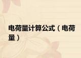電荷量計算公式（電荷量）