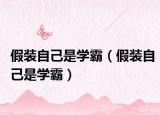 假裝自己是學(xué)霸（假裝自己是學(xué)霸）