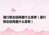 潛行狙擊結(jié)局是什么意思（潛行狙擊結(jié)局是什么意思）