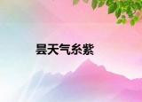 曇天氣糸紫