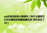 qq農(nóng)場還能挖小雛菊嗎（種什么植物可以在枯萎的時候翻地翻出來 拜托各位了 3Q）