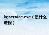 kgservice.exe（是什么進(jìn)程）