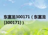 東富龍300171（東富龍[300171]）