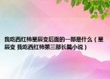 我吃西紅柿星辰變后面的一部是什么（星辰變 我吃西紅柿第三部長(zhǎng)篇小說(shuō)）