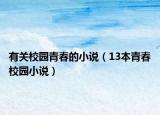 有關(guān)校園青春的小說（13本青春校園小說）