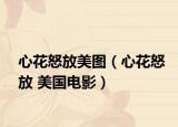 心花怒放美圖（心花怒放 美國電影）