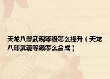 天龍八部武魂等級(jí)怎么提升（天龍八部武魂等級(jí)怎么合成）