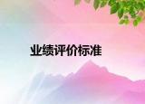 業(yè)績評價標(biāo)準(zhǔn)
