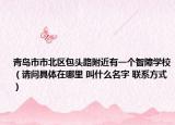 青島市市北區(qū)包頭路附近有一個智障學校（請問具體在哪里 叫什么名字 聯(lián)系方式）