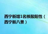 西寧新增1名核酸陽性（西寧新八景）