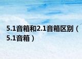 5.1音箱和2.1音箱區(qū)別（5.1音箱）