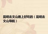 昆明去文山路上好吃的（昆明去文山導(dǎo)航）