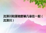 沈澤川和蕭馳野第幾章在一起（沈澤川）