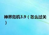 神界危機(jī)3.9（怎么過關(guān)）