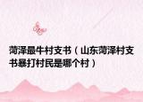 菏澤最牛村支書（山東菏澤村支書暴打村民是哪個(gè)村）