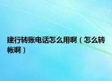 建行轉(zhuǎn)賬電話怎么用?。ㄔ趺崔D(zhuǎn)帳?。? /></span></a>
                        <h2><a href=