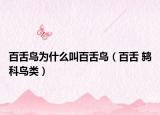 百舌鳥為什么叫百舌鳥（百舌 鶇科鳥類）