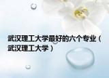 武漢理工大學最好的六個專業(yè)（武漢理工大學）